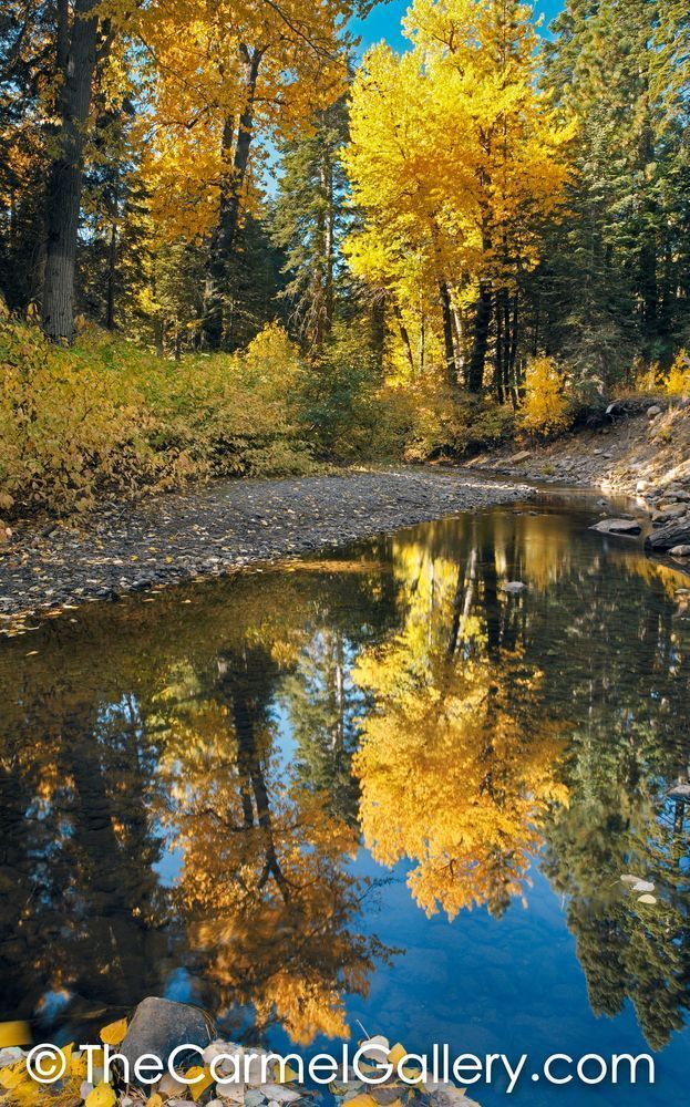 Blackwood Creek II