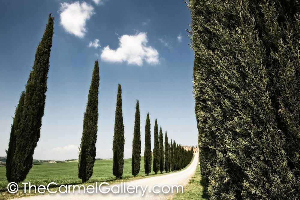 Cypress Strada