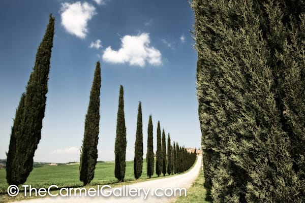 Cypress Strada