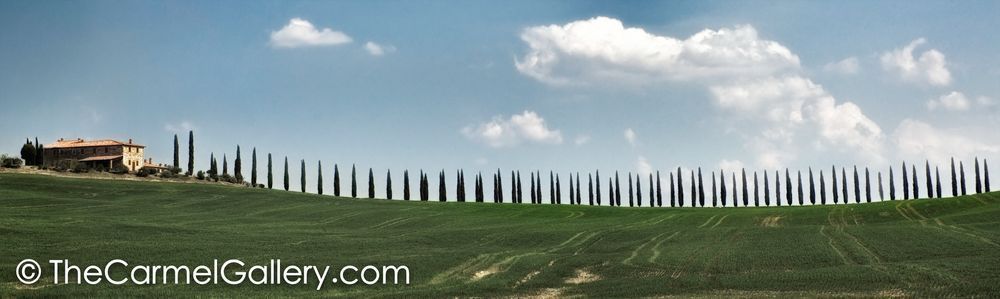 Cypress Lane