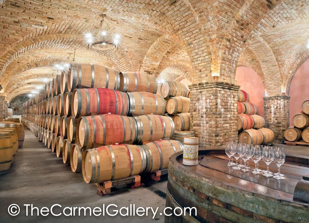Cellar Wine Tasting