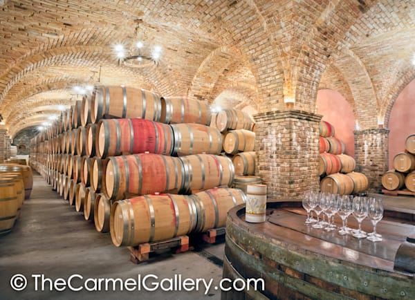 Cellar Wine Tasting
