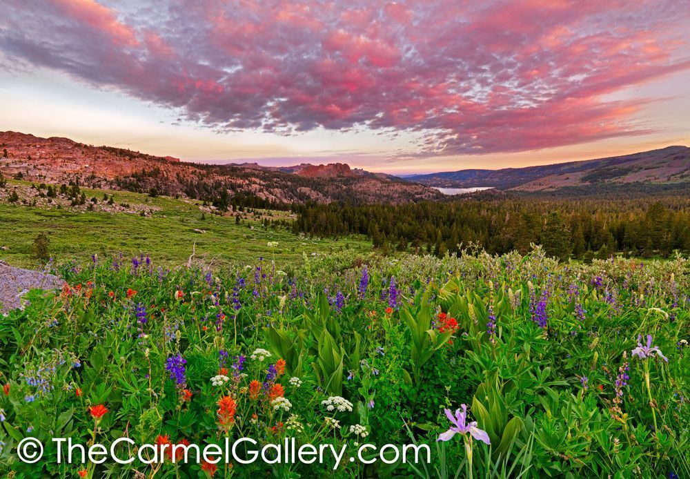 Carson Pass Sunrise