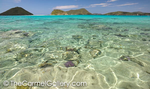 Caribbean Blue