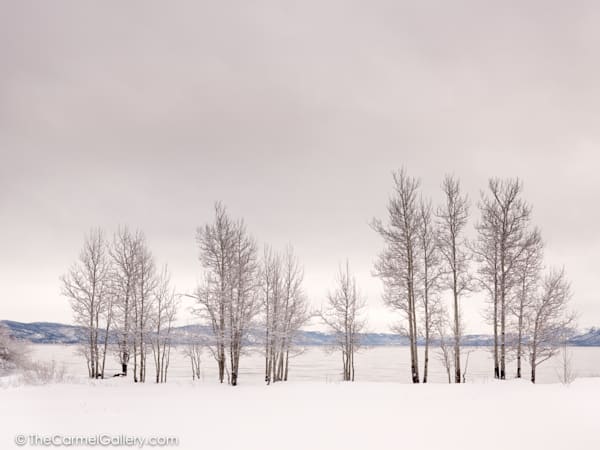 Carnelian Bay