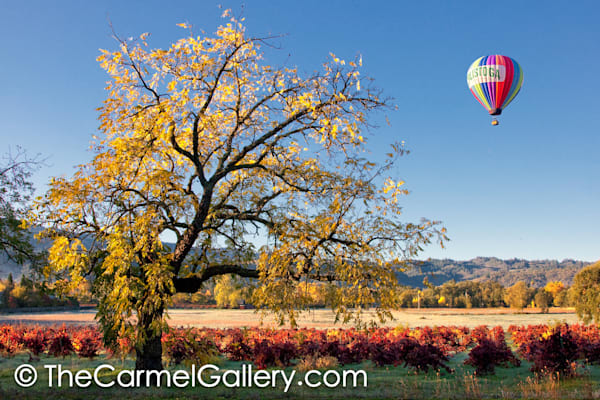 Calistoga Balloon