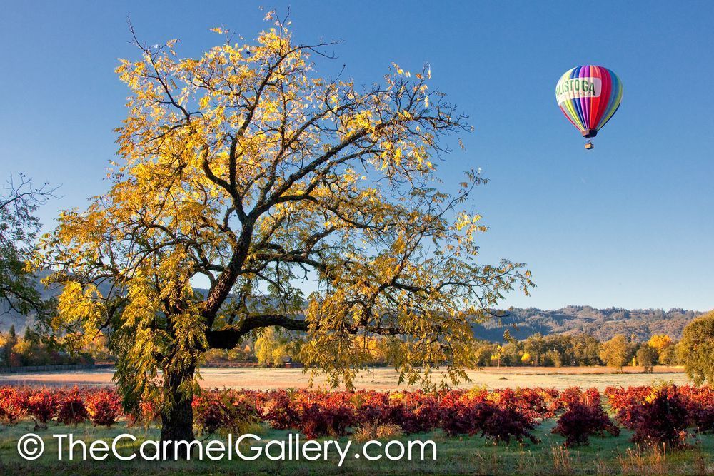 Calistoga Balloon