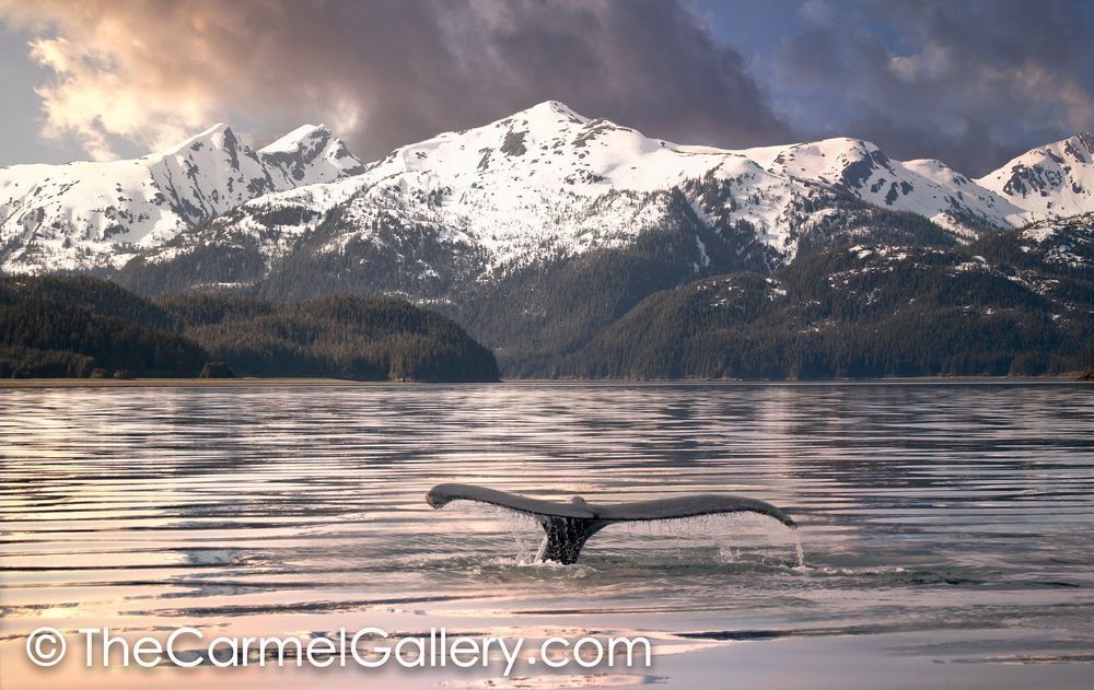 Calm Waters Alaska