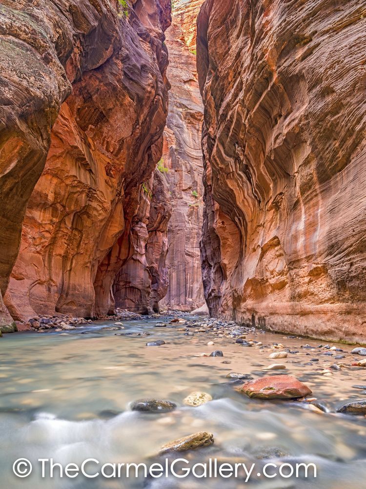 Canyon Majesty