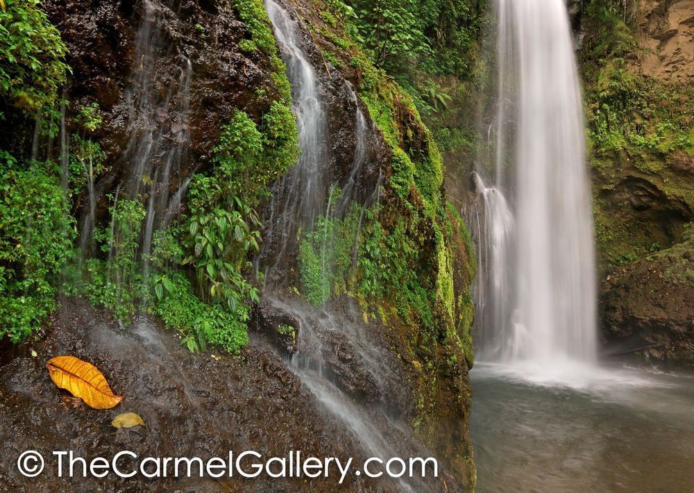 Costa Rican Cascade