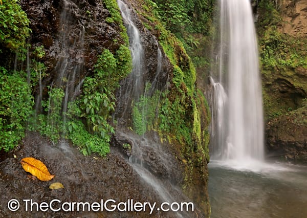 Costa Rican Cascade