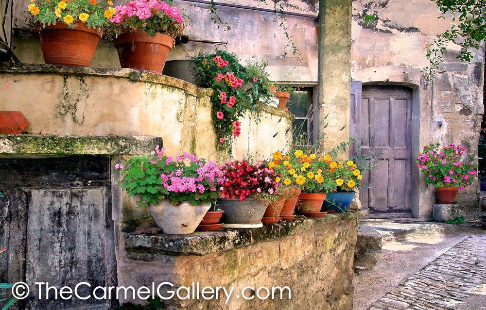 Courtyard Garden