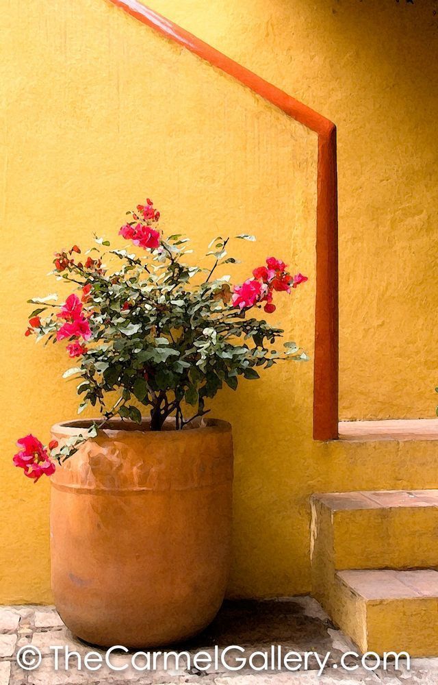 Mexico 2005