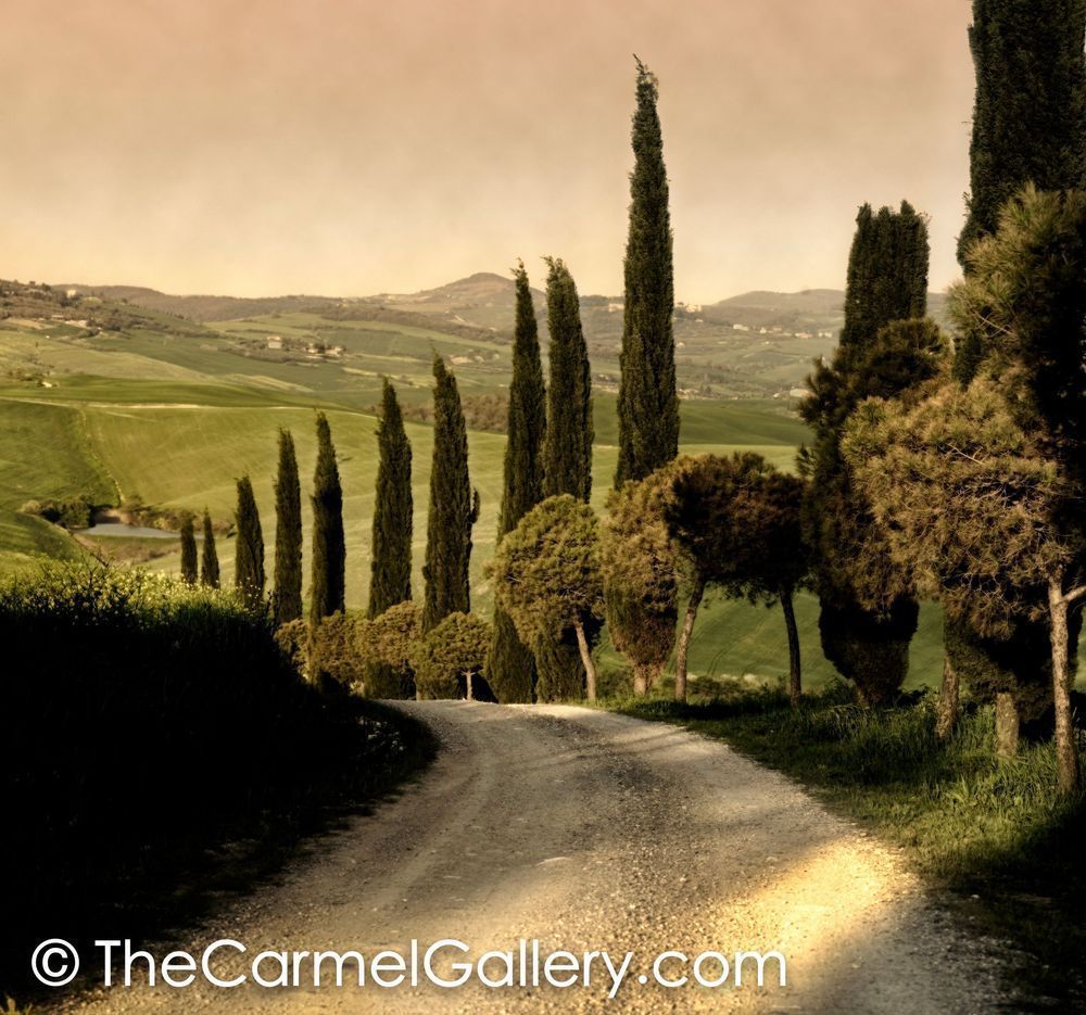 Country Lane, Tuscany