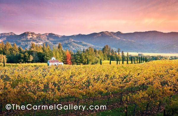 Chapel In The Vineyard Photography Art | The Carmel Gallery