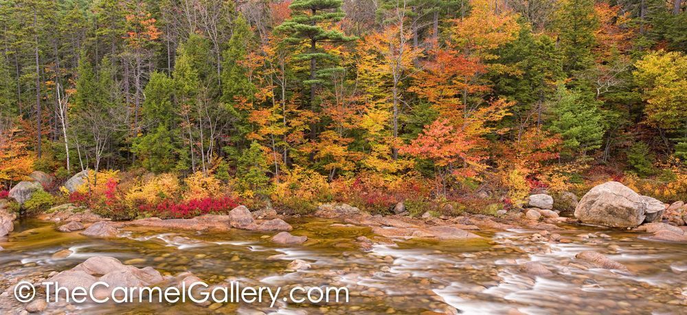Autumn along the Swift River