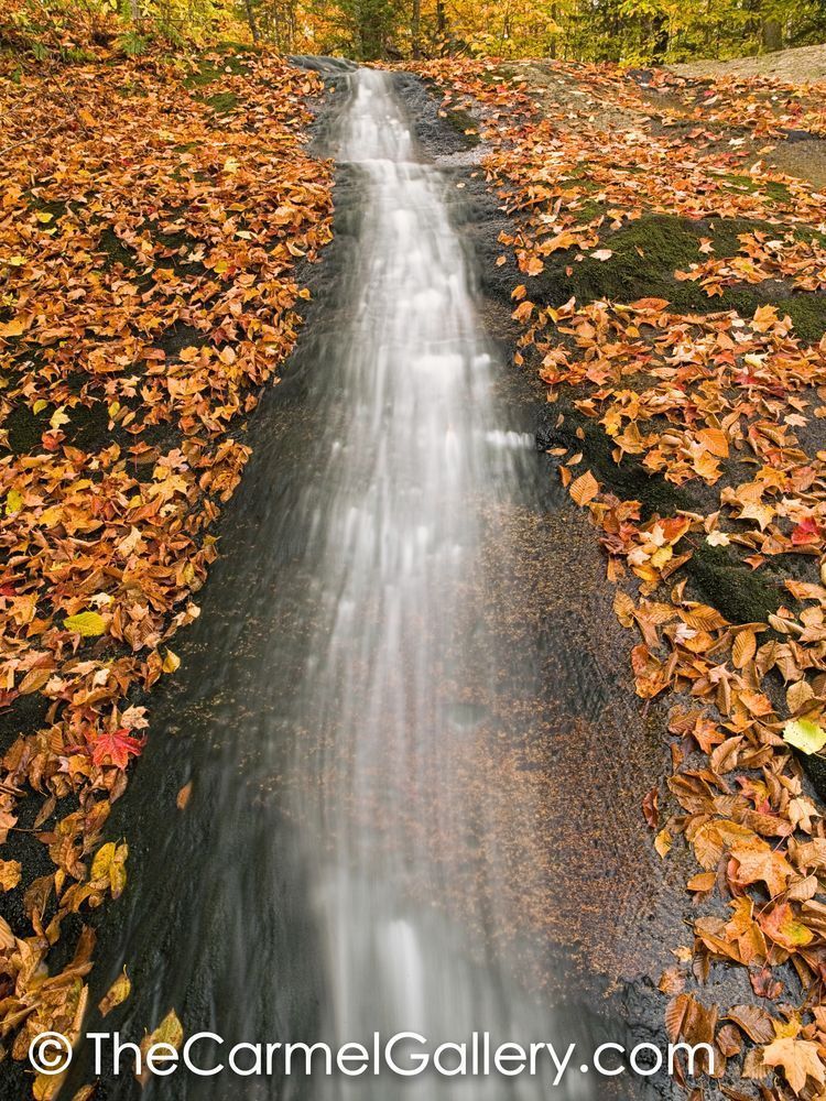 Autumn Brook