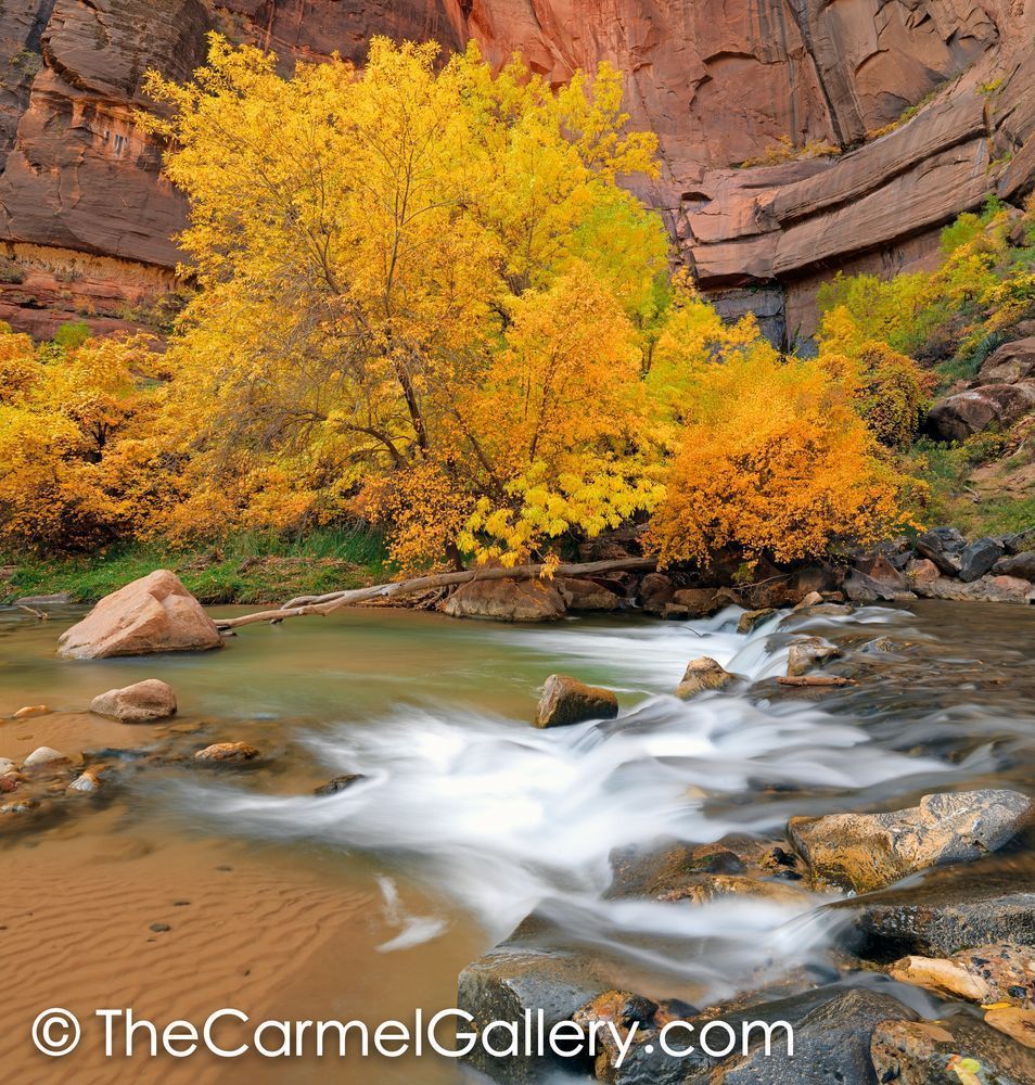 Autumn Glow, Zion