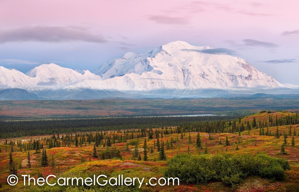 Autumn Dusk, Denali