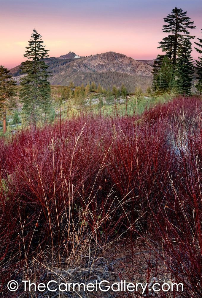 Autumn Dawn Castle Peak