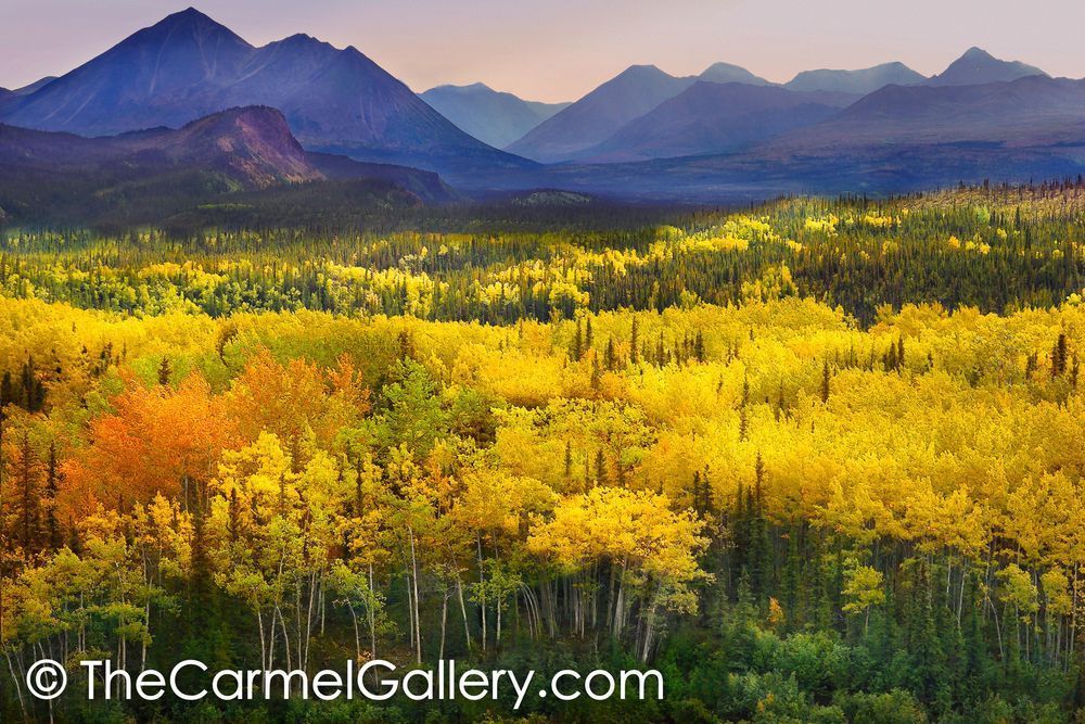 Autumn Evening Denali