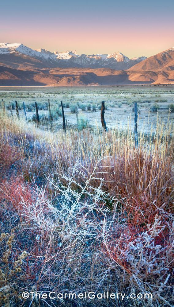 Autumn Frost Eastern Sierra Photography Art | The Carmel Gallery