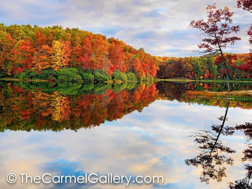 Autumn Kaleidoscope I