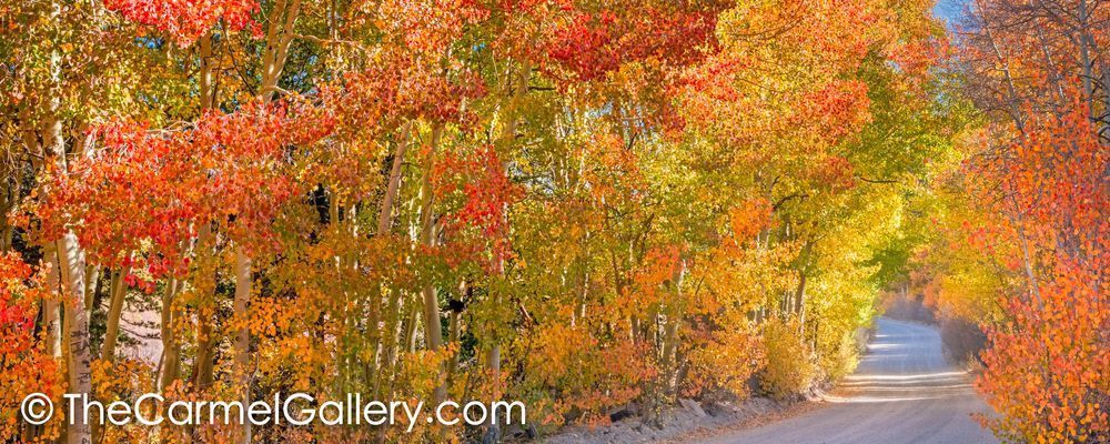 Autumn Inspiration