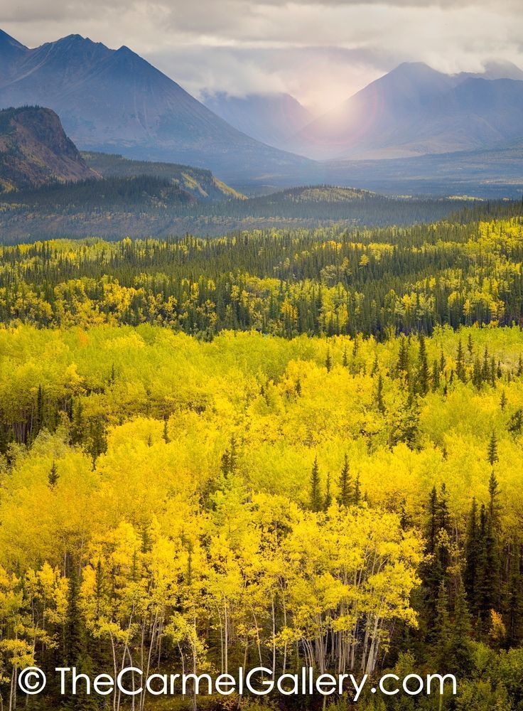 Autumn Light, Denali