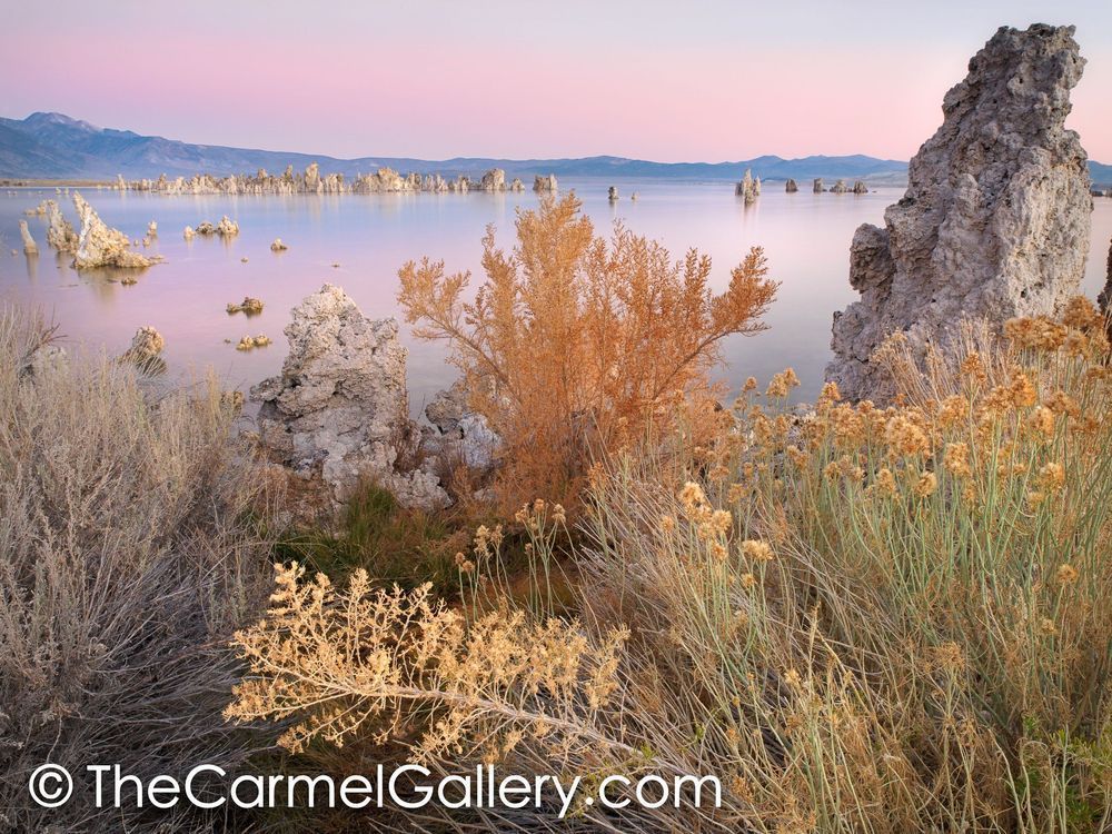 Autumn Morning, Mono Lake