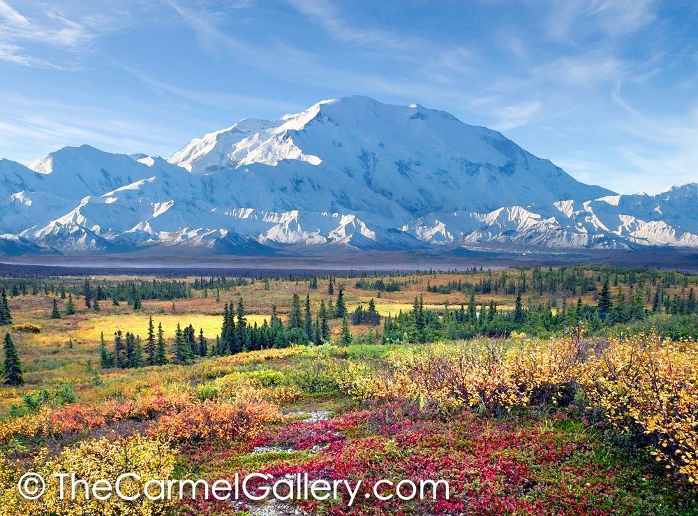 Autumn Morning Denali
