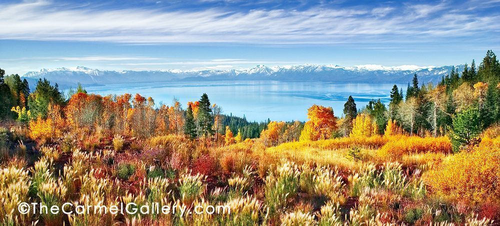 Autumn Morning Tahoe Photography Art | The Carmel Gallery