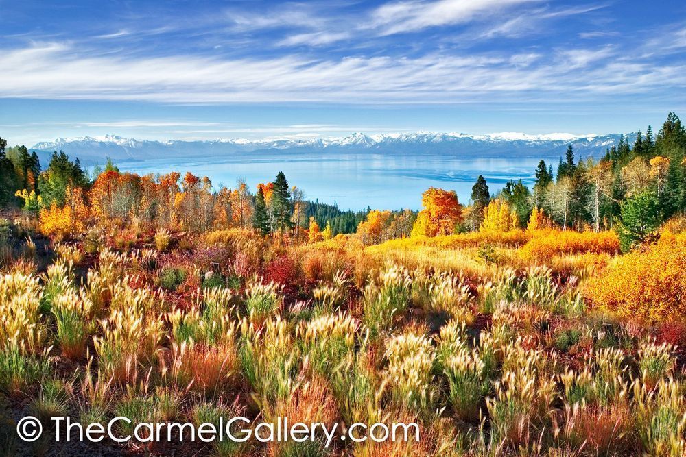 Autumn Morning Tahoe