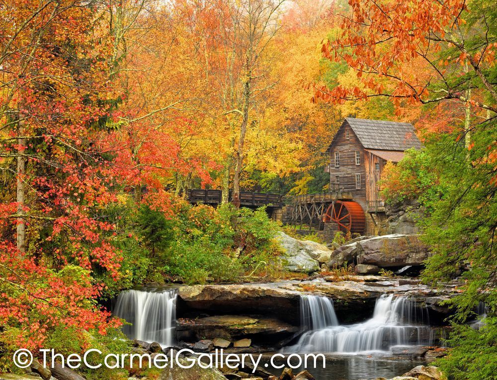Autumn Splendor