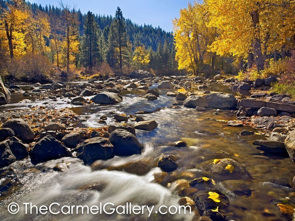 Autumn Sunshine, Truckee River