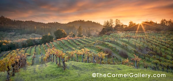"Autumn Sunset Hans Fahden" | Wine Country fine art photography prints by Olof Carmel, The Carmel Gallery