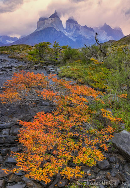 Autumn Storm Photography Art | The Carmel Gallery
