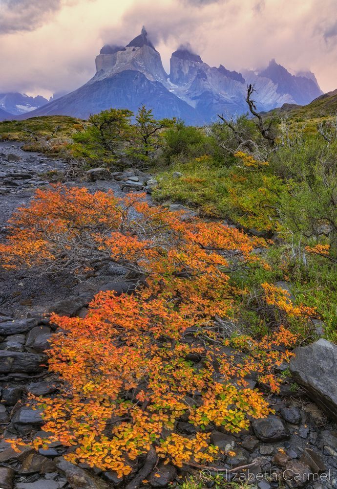 Autumn Storm Photography Art | The Carmel Gallery