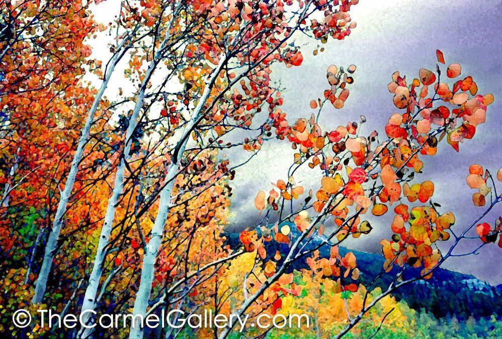 Autumn Storm