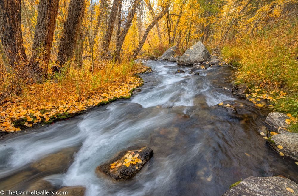 Autumn Secret Photography Art | The Carmel Gallery