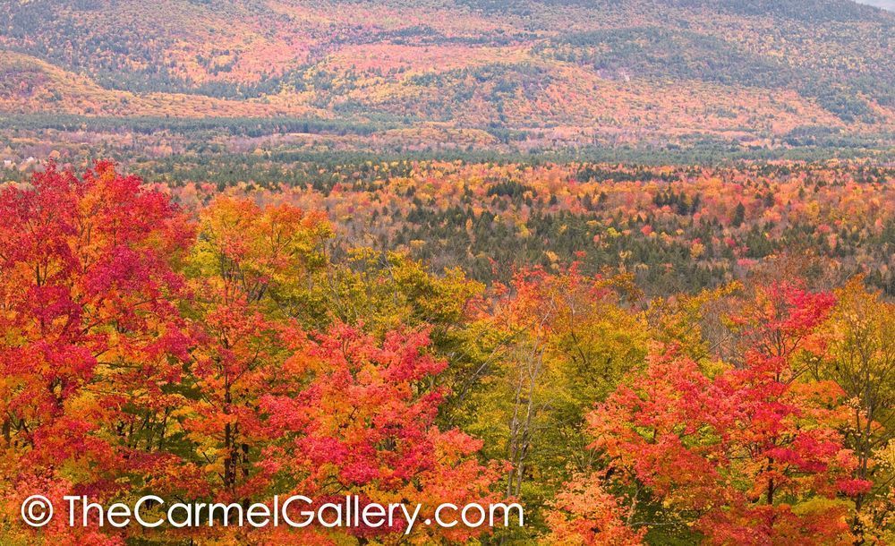Autumn Panorama