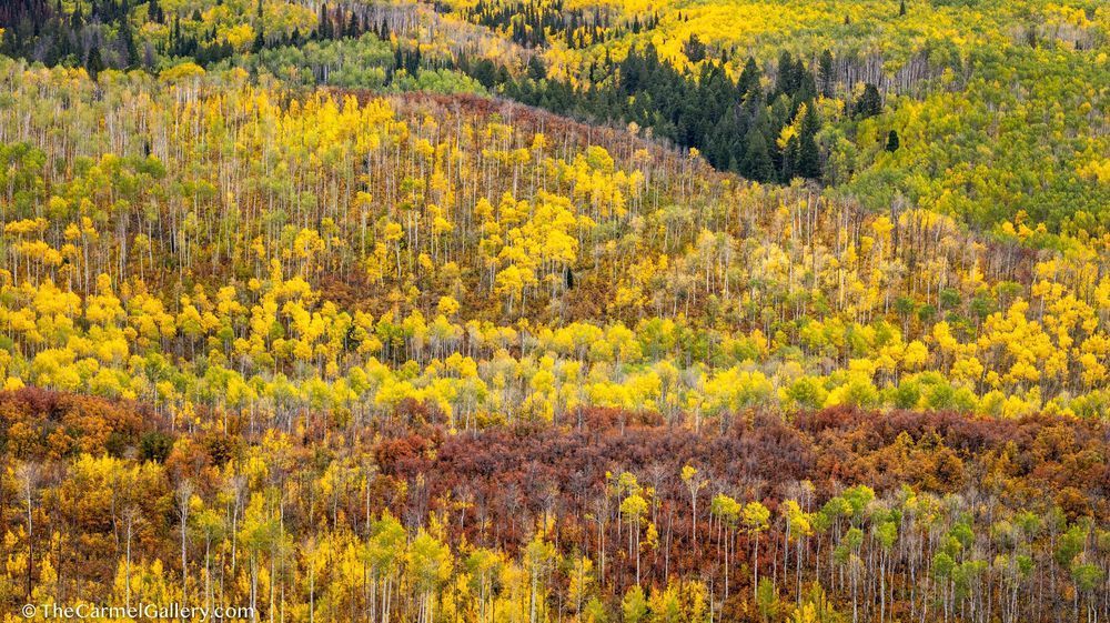 Autumn Pastiche Photography Art | The Carmel Gallery