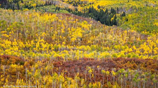 Autumn Pastiche Photography Art | The Carmel Gallery