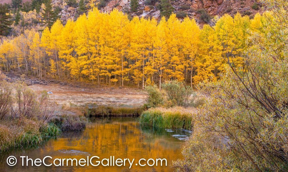 Autumn Reflections, Mono Lake
