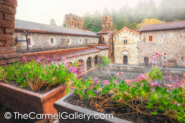 Autumn Rain, Castello di Amorosa