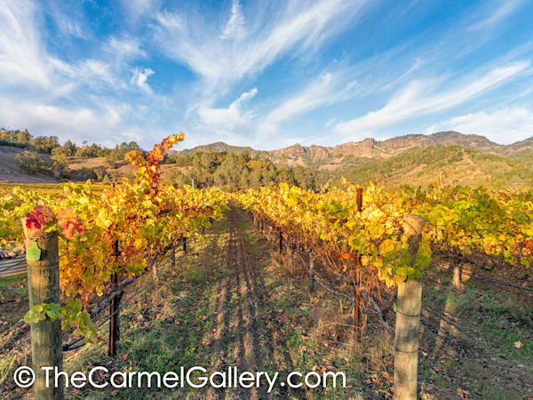 Autumn View, Palisades