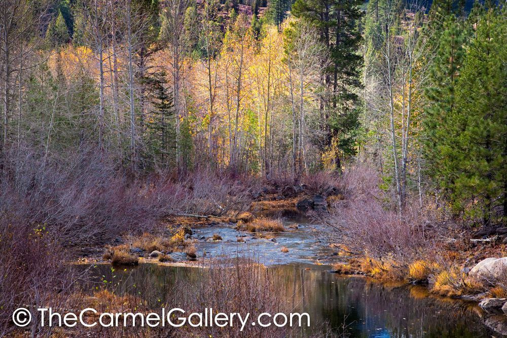 Autumn Yuba River