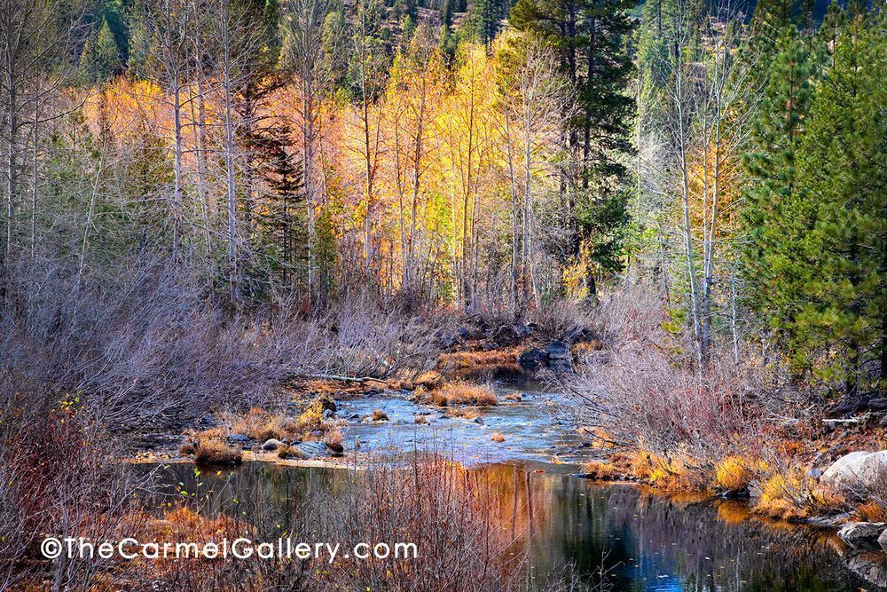 Autumn Yuba River Photography Art | The Carmel Gallery