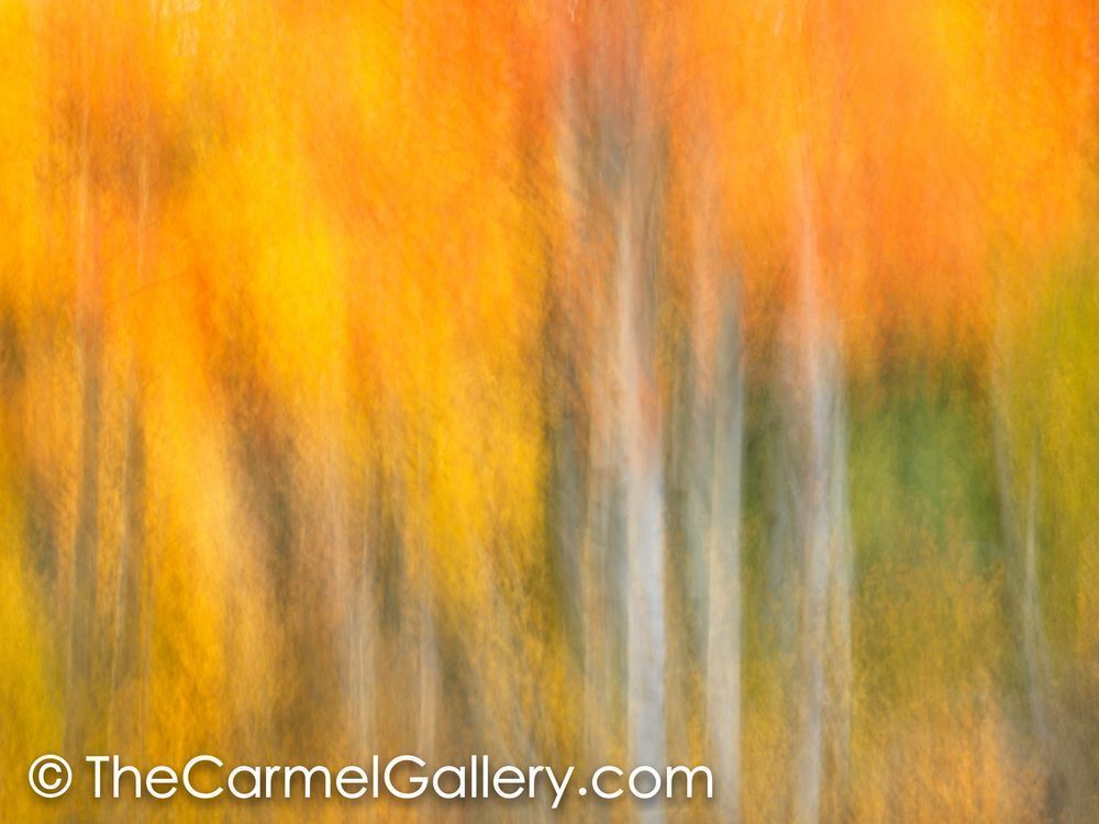 Autumn IV