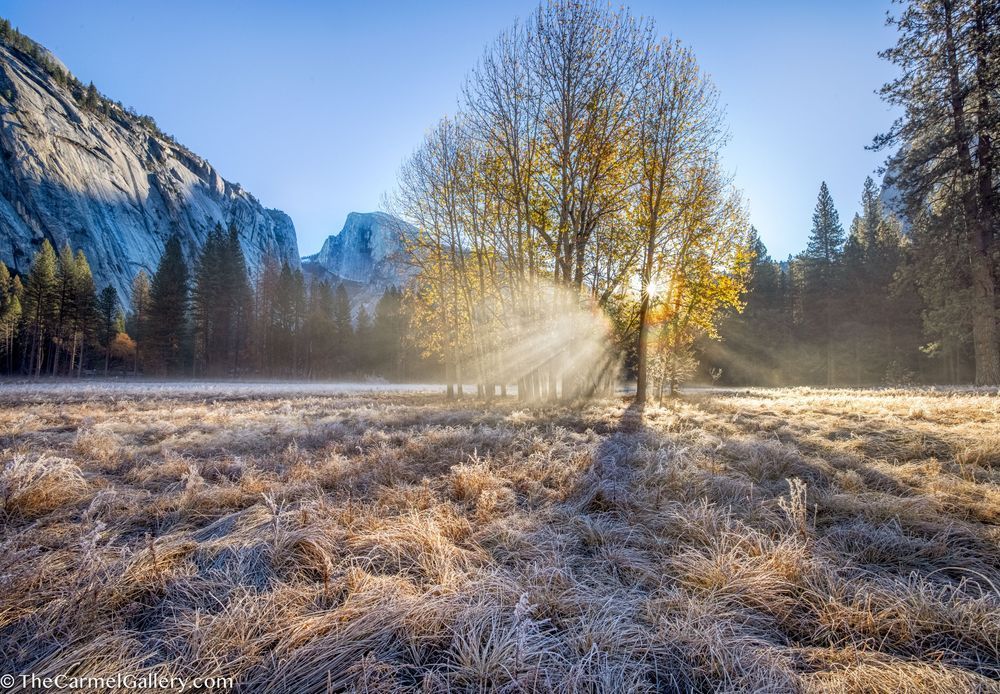 Autumn Sunrise Yosemite Photography Art | The Carmel Gallery